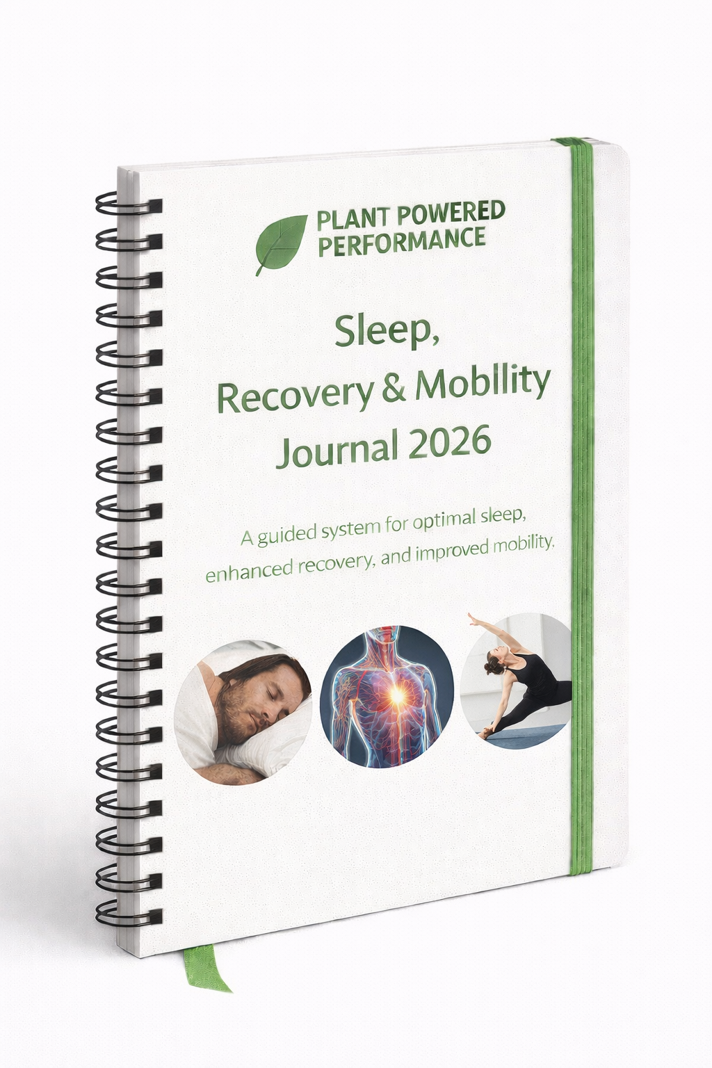 Digital Recovery & Master Guide/Ebook