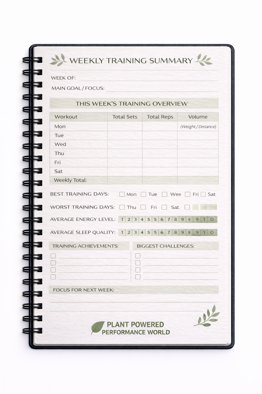 12-Week Muscle Gain Program