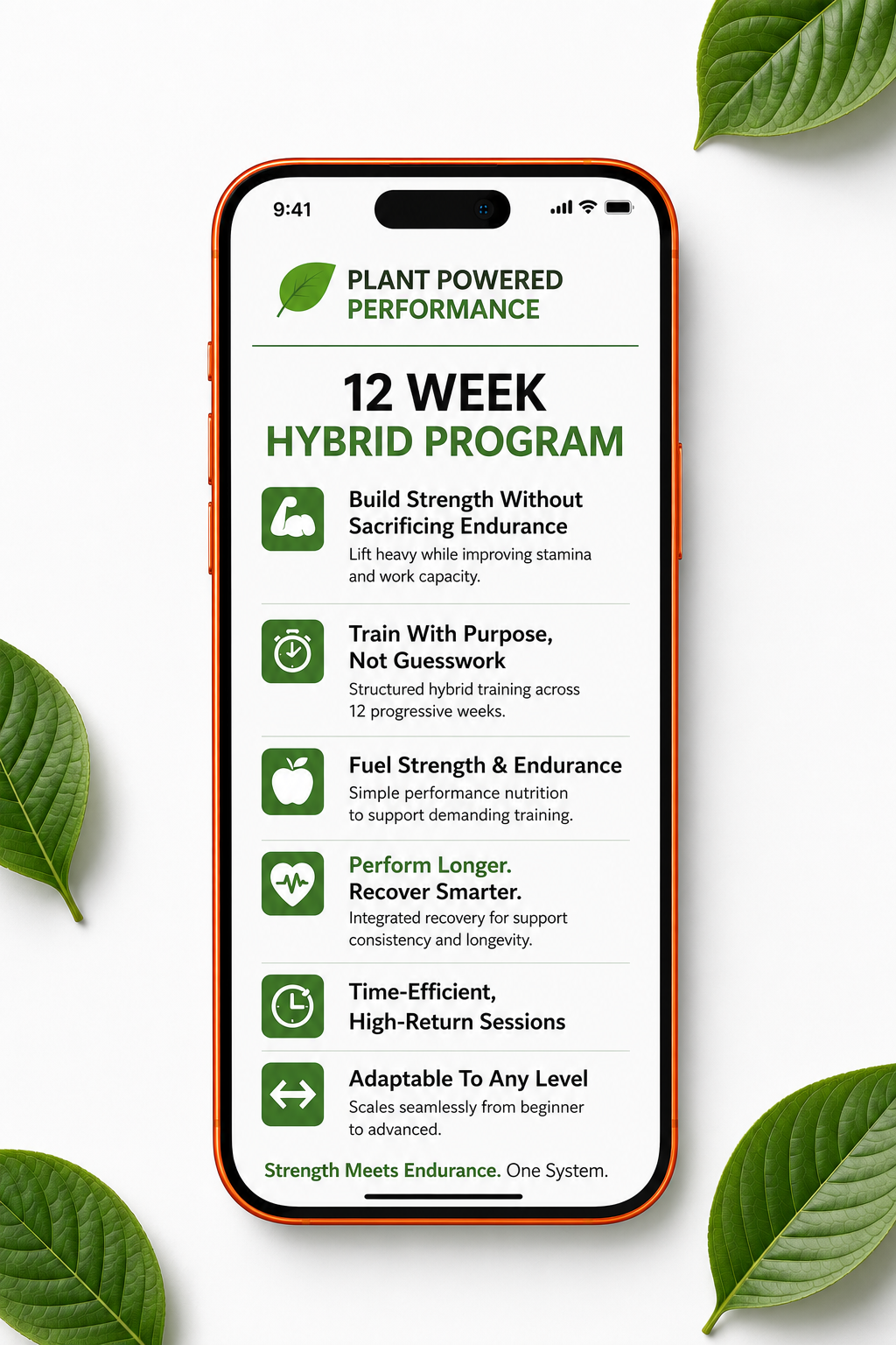 12-Week Hybrid Athlete Program