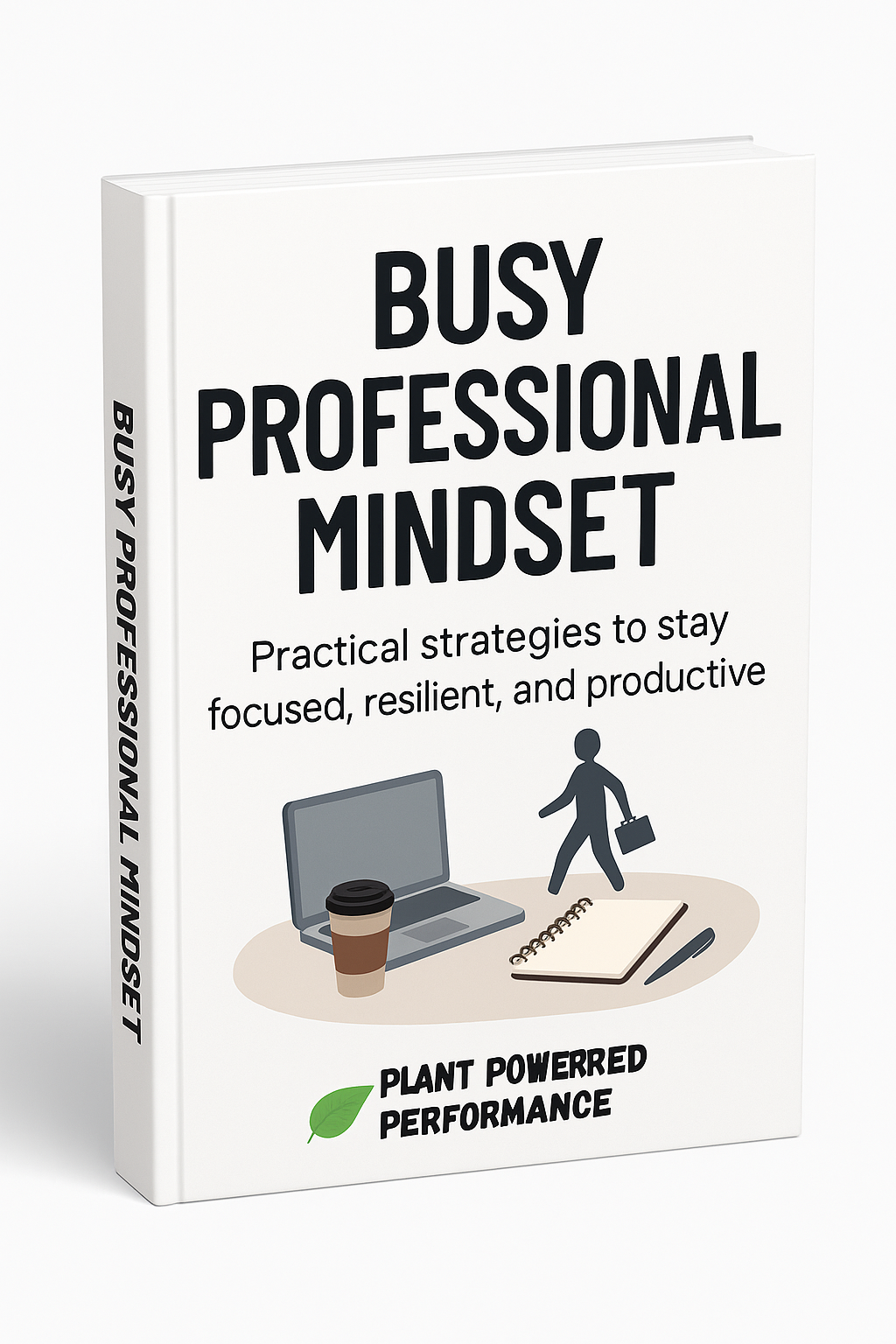 Busy Professional Mindset Ebook/Guide