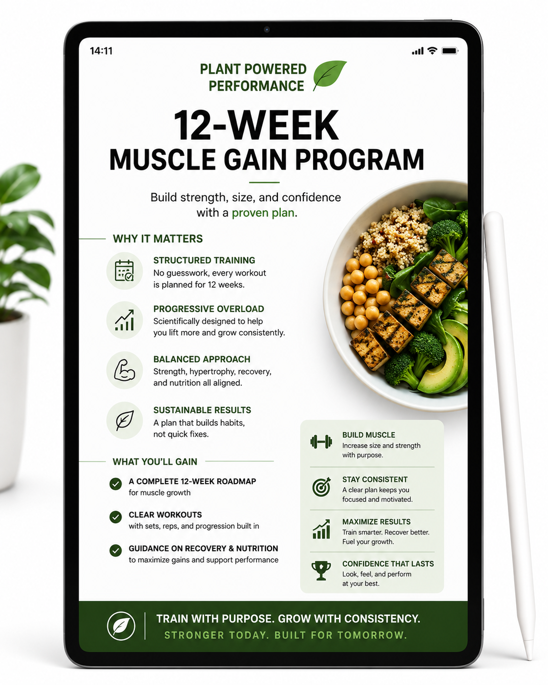 12-Week Muscle Gain Program