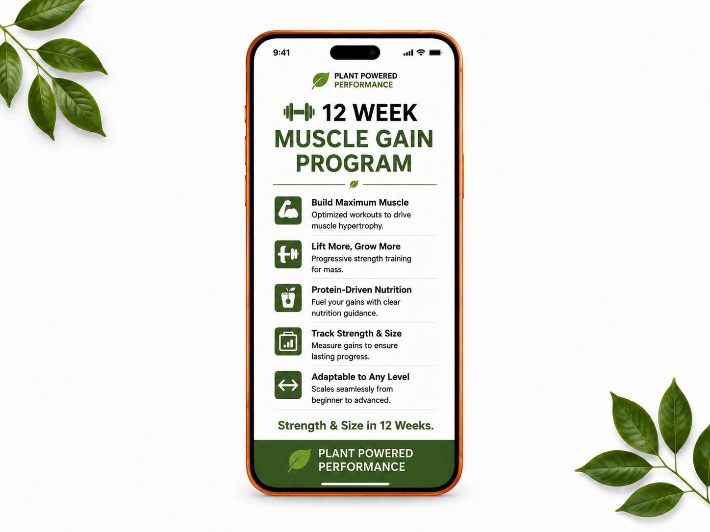 12-Week Muscle Gain Program