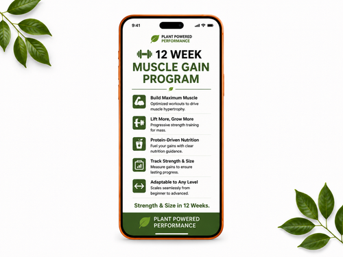 12-Week Muscle Gain Program