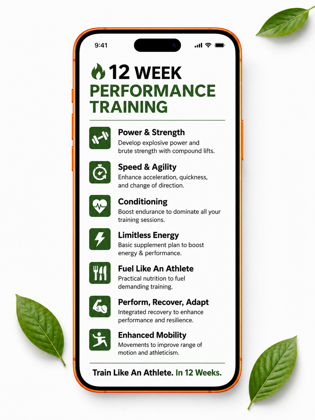 12-Week Performance Training Program