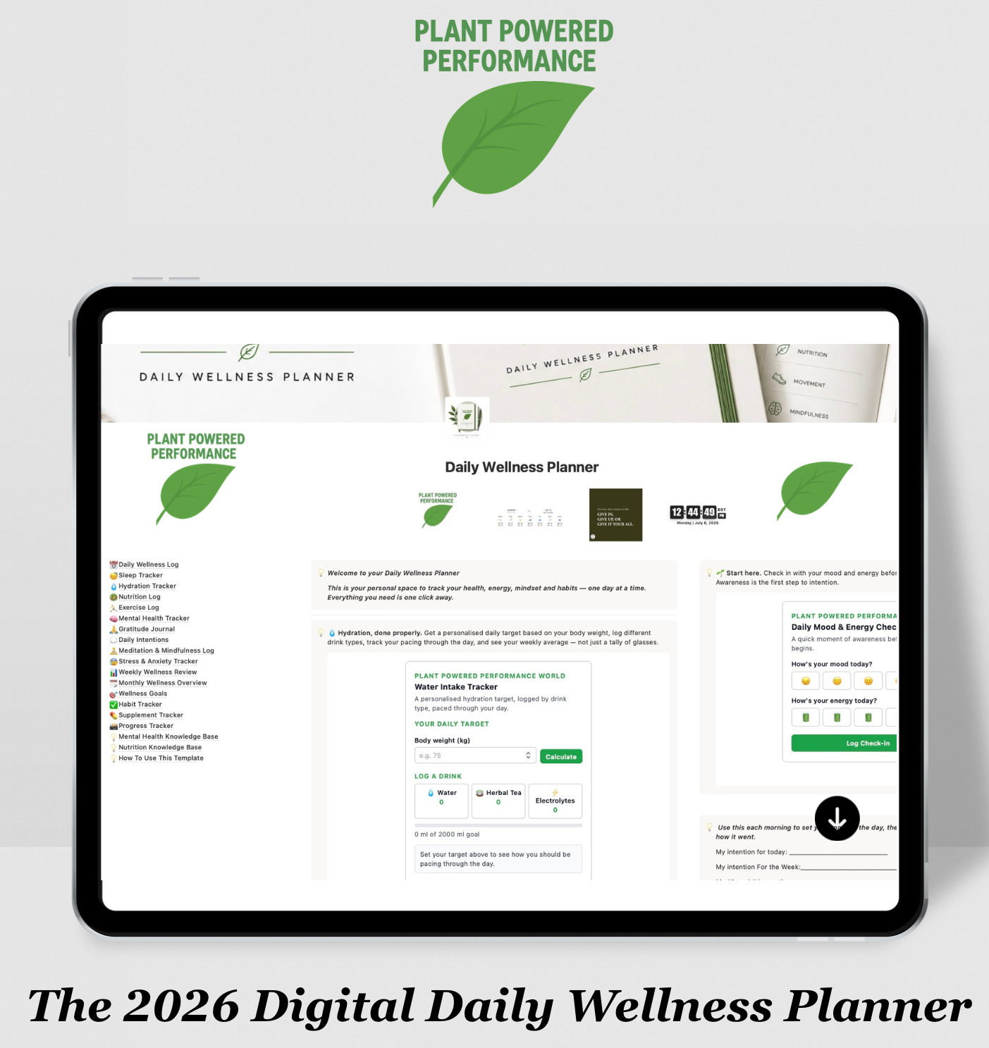 Daily Wellness Planner 2026